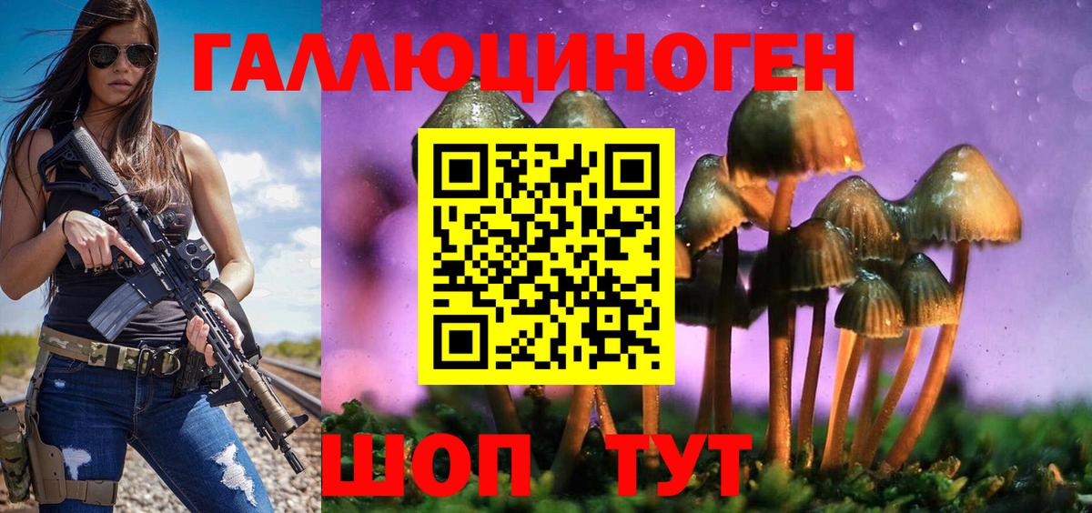 Псилоцибиновые грибы Psilocybine cubensis Ишим