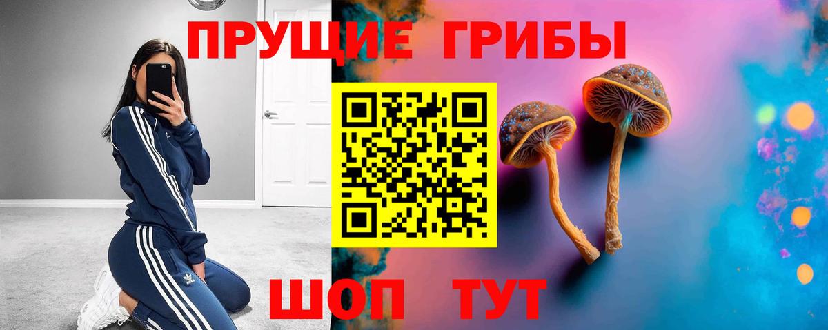 Ишим  Галлюциногенные грибы Psilocybe  Вход с VPN 